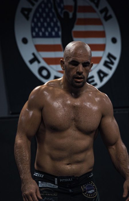 Ivan Erslan, UFC borac